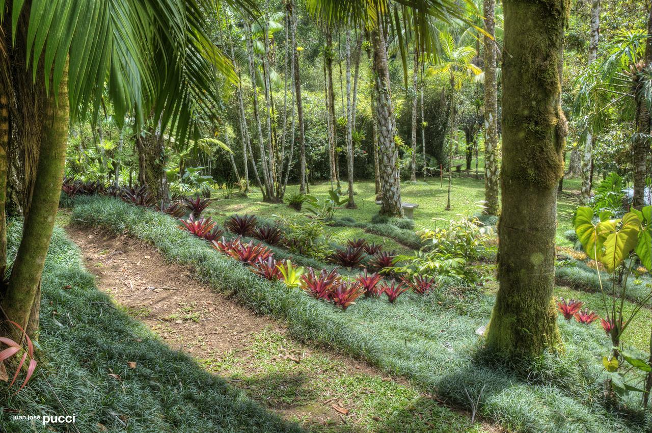 Estacion Biologica Las Cruces Y Jardin Botanico Wilson San Vito Ngoại thất bức ảnh
