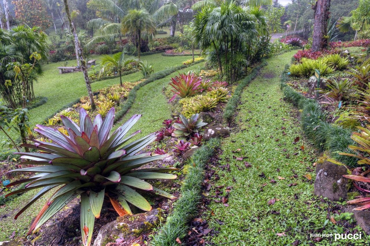 Estacion Biologica Las Cruces Y Jardin Botanico Wilson San Vito Ngoại thất bức ảnh